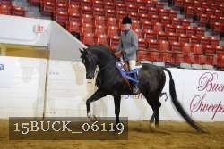 15BUCK_06119 proof