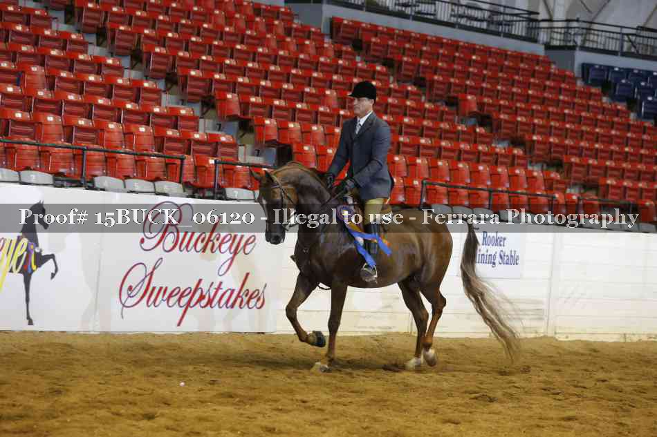Proof 15BUCK_06120