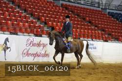 15BUCK_06120 proof