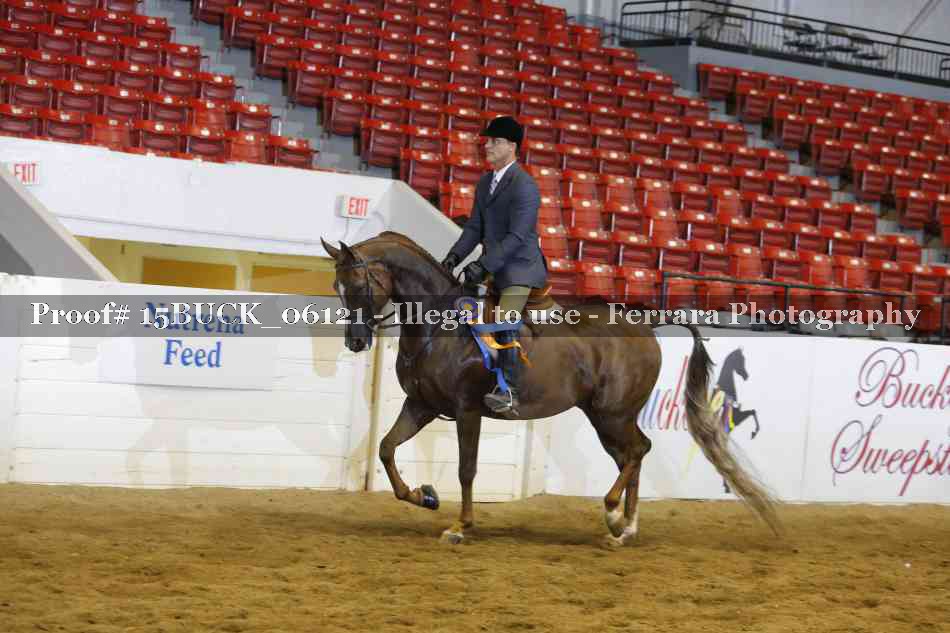 Proof 15BUCK_06121
