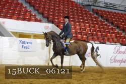 15BUCK_06121 proof