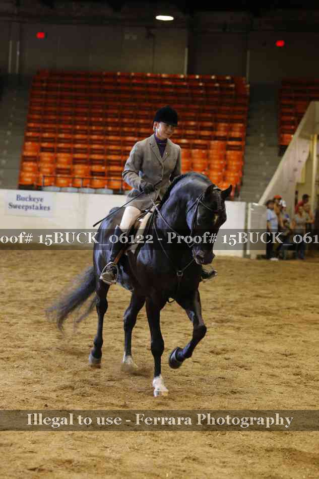Proof 15BUCK_06122