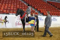 15BUCK_06123 proof