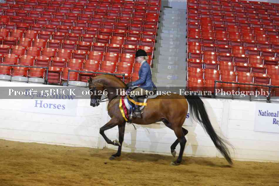 Proof 15BUCK_06126