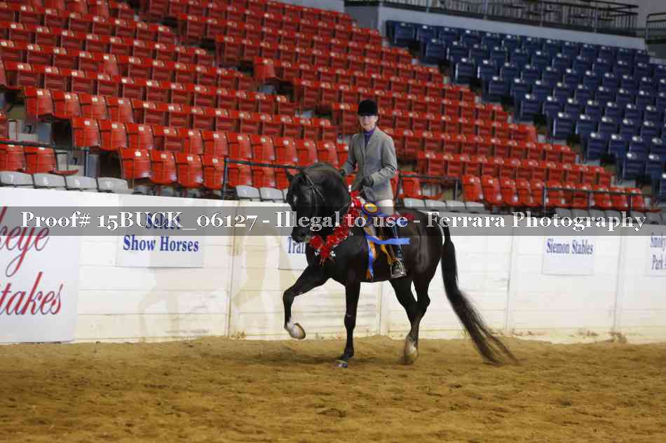 Proof 15BUCK_06127