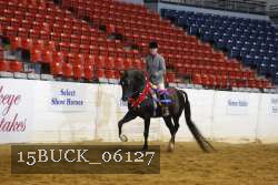 15BUCK_06127 proof