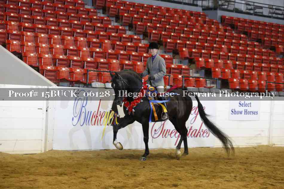 Proof 15BUCK_06128