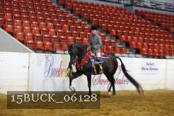 15BUCK_06128 proof