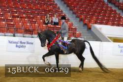 15BUCK_06129 proof