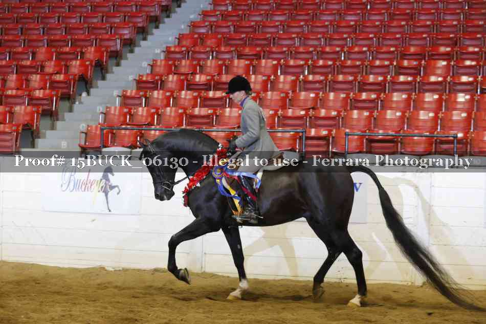 Proof 15BUCK_06130