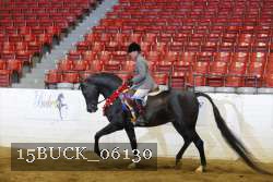 15BUCK_06130 proof