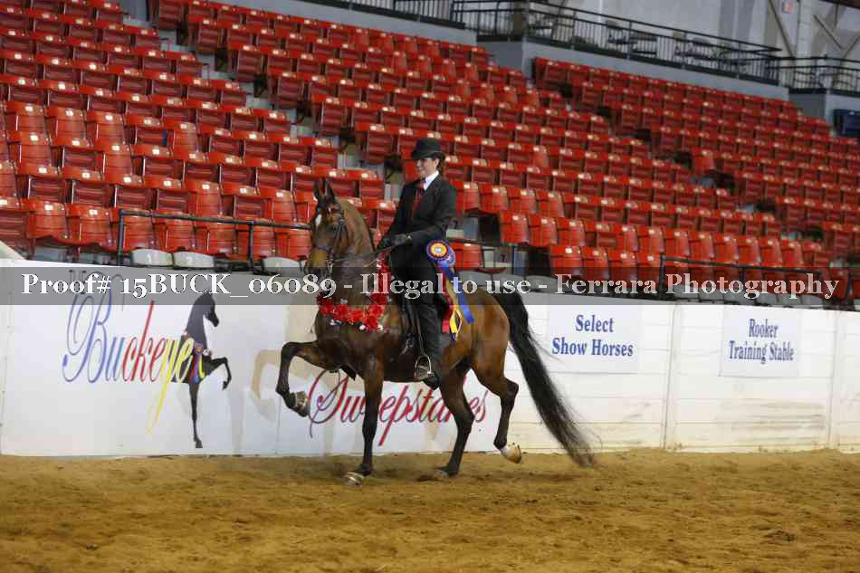 Proof 15BUCK_06089