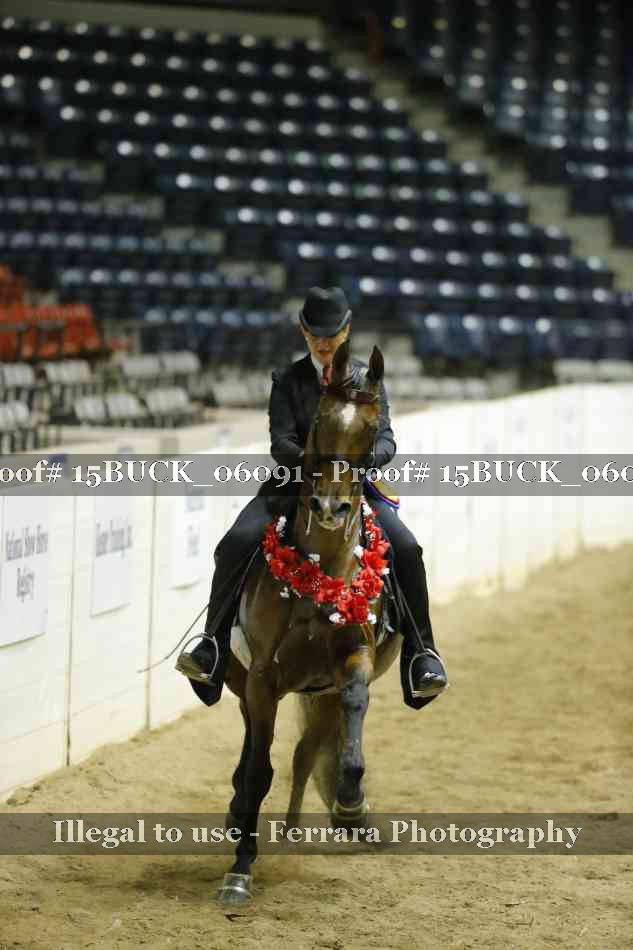 Proof 15BUCK_06091