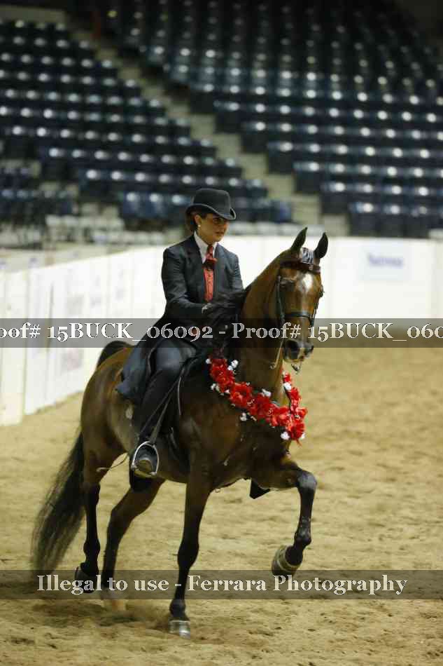 Proof 15BUCK_06092