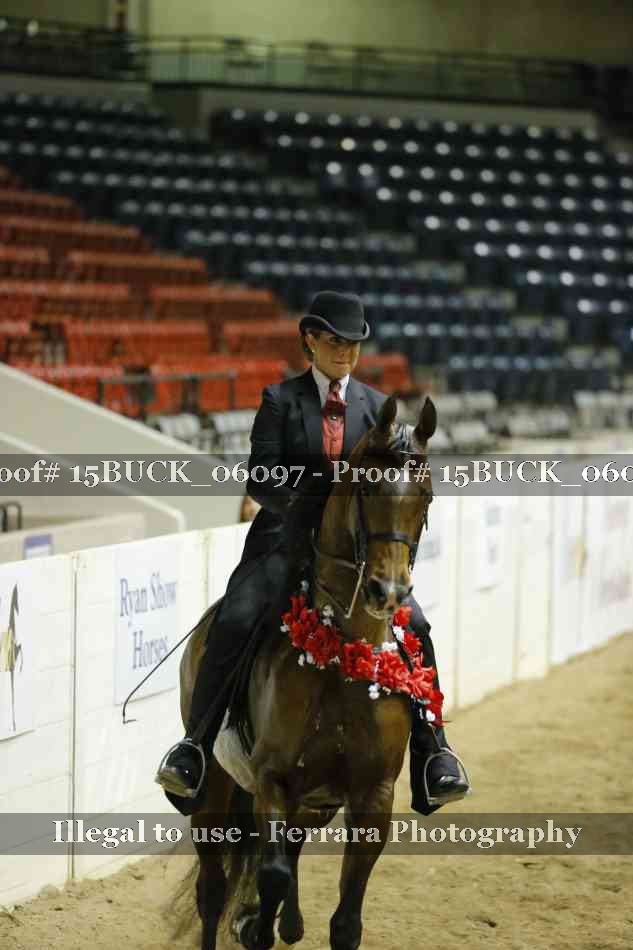 Proof 15BUCK_06097