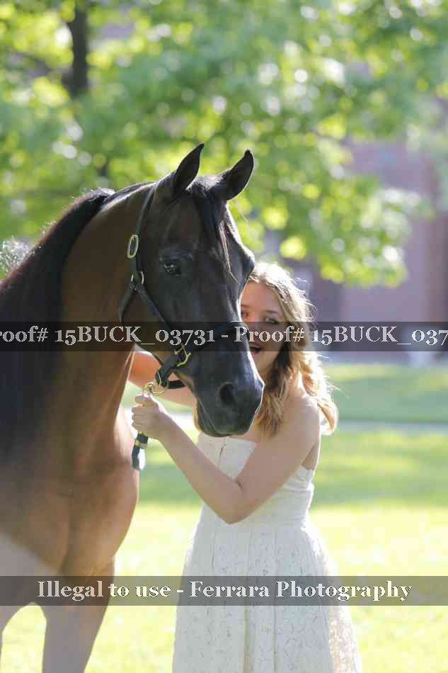 Proof 15BUCK_03731