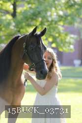 15BUCK_03731 proof