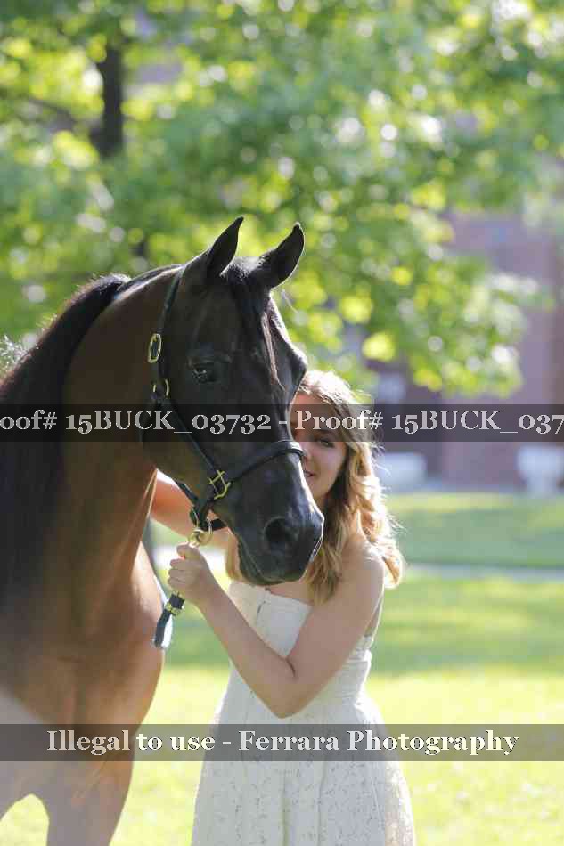 Proof 15BUCK_03732