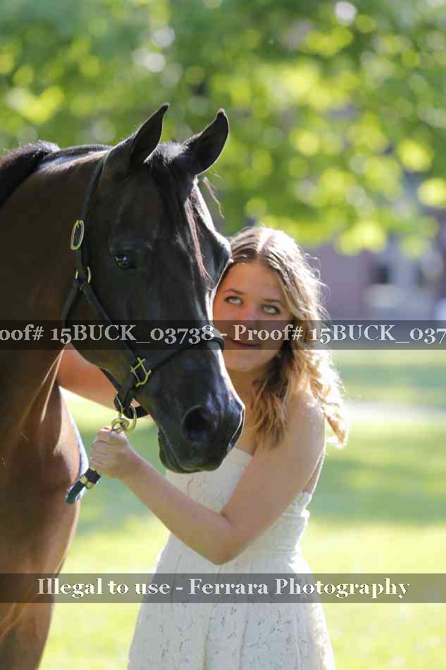 Proof 15BUCK_03738