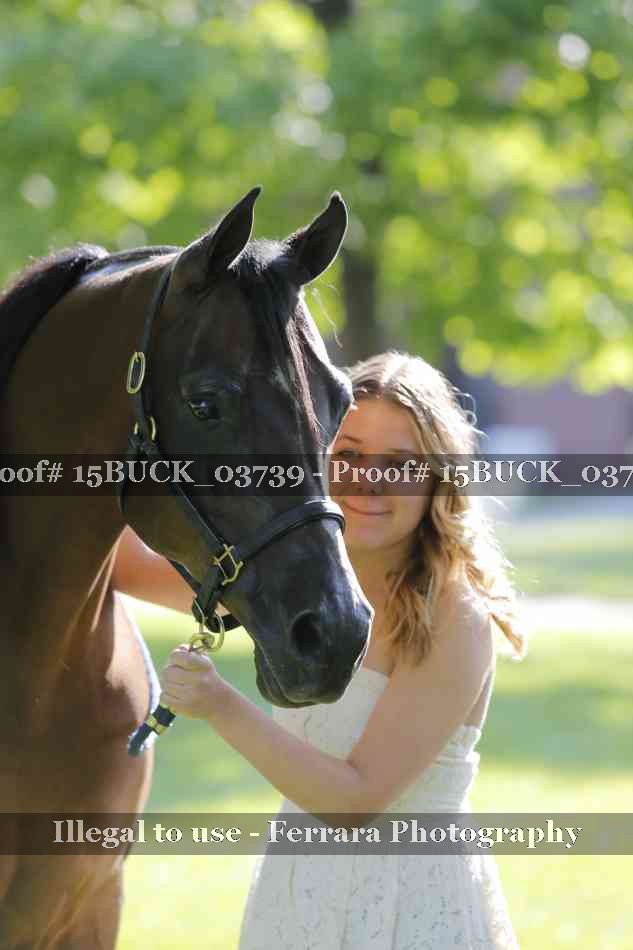 Proof 15BUCK_03739