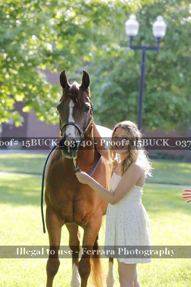 Proof 15BUCK_03740