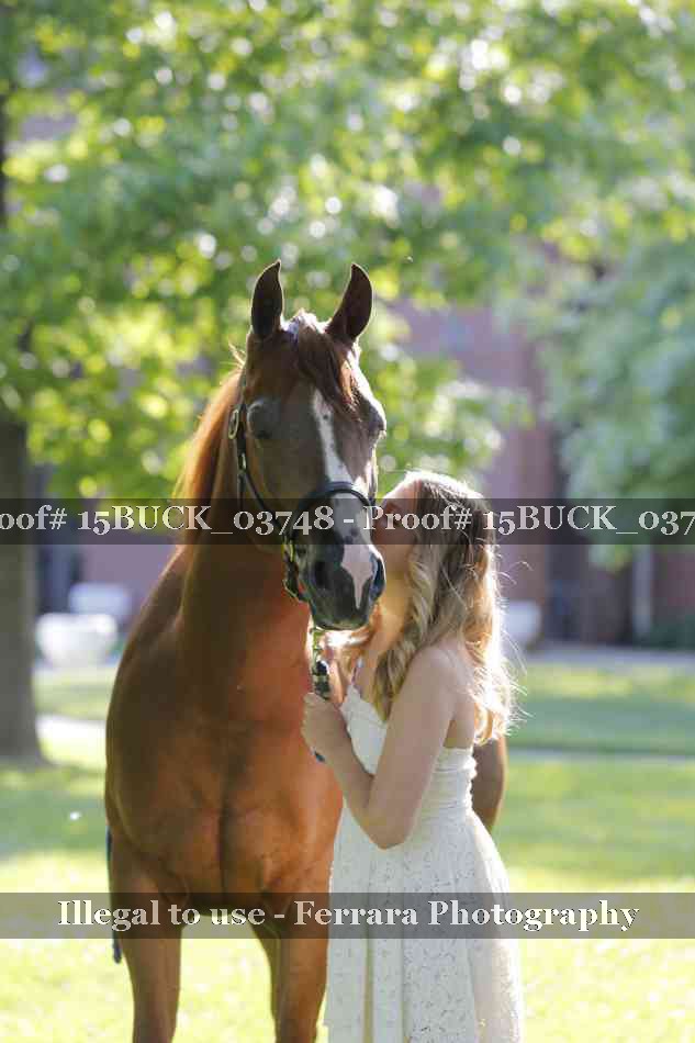 Proof 15BUCK_03748