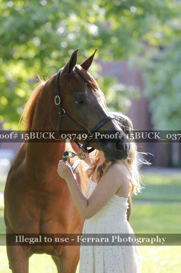 Proof 15BUCK_03749