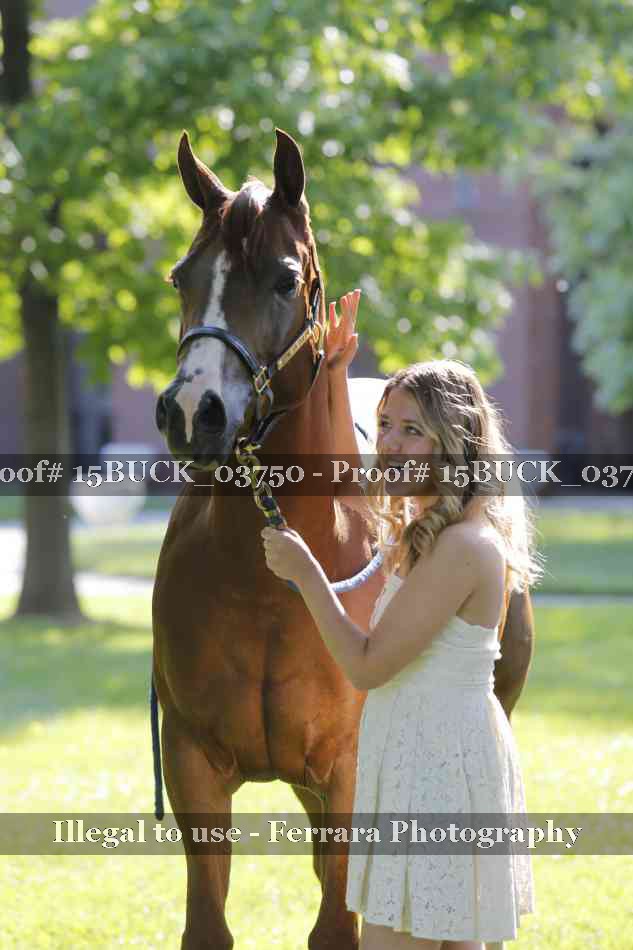 Proof 15BUCK_03750