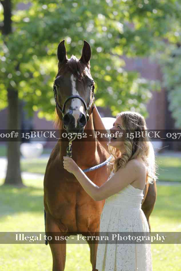 Proof 15BUCK_03752
