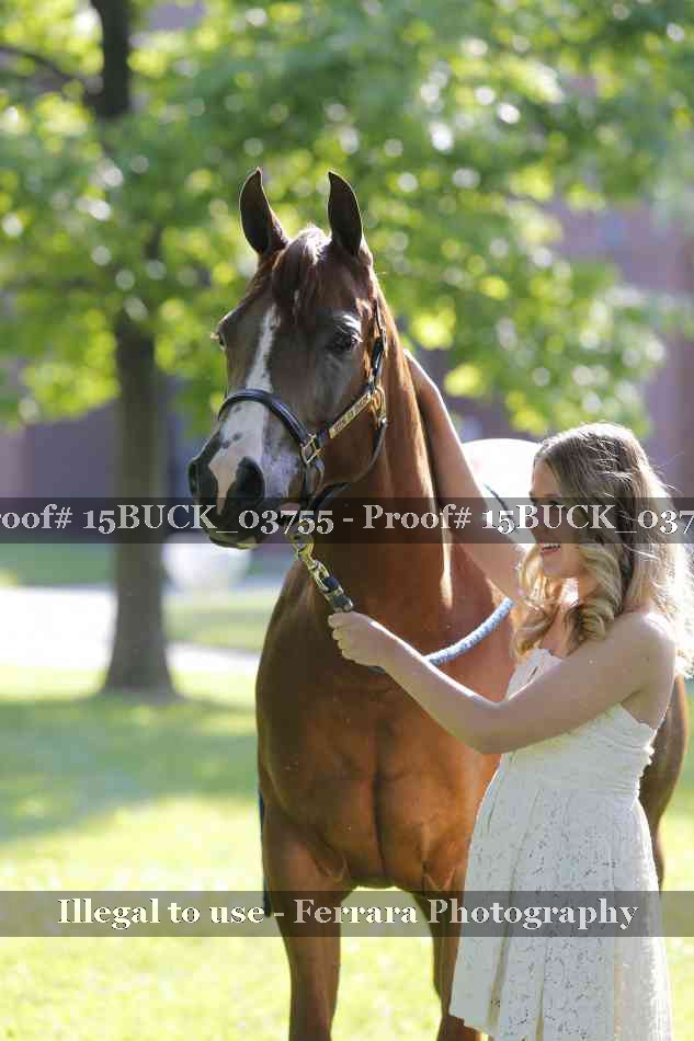 Proof 15BUCK_03755