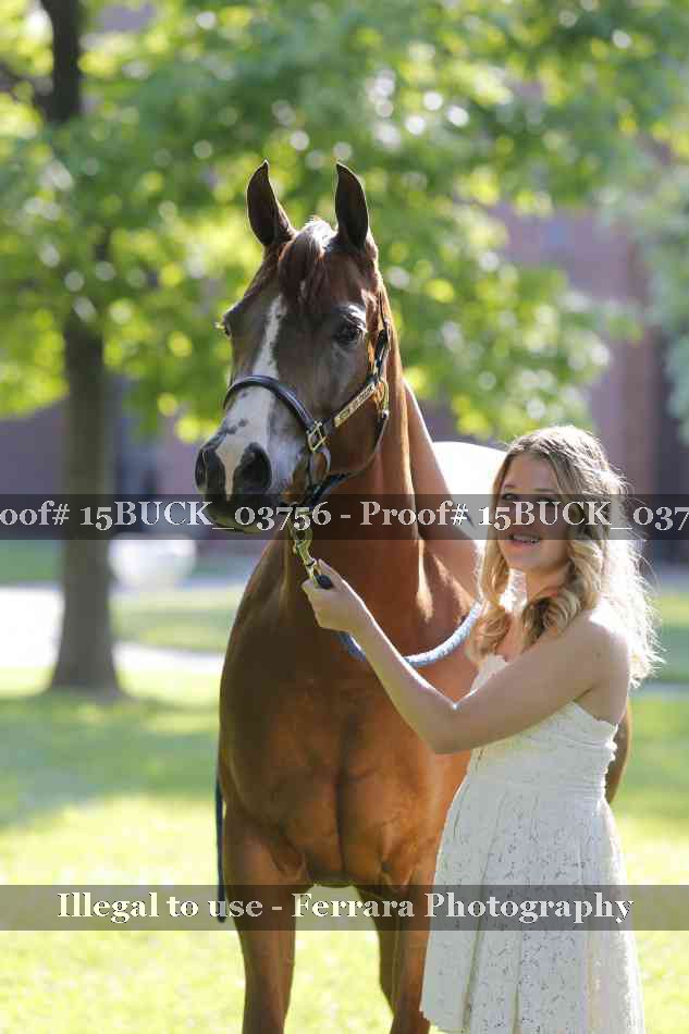 Proof 15BUCK_03756
