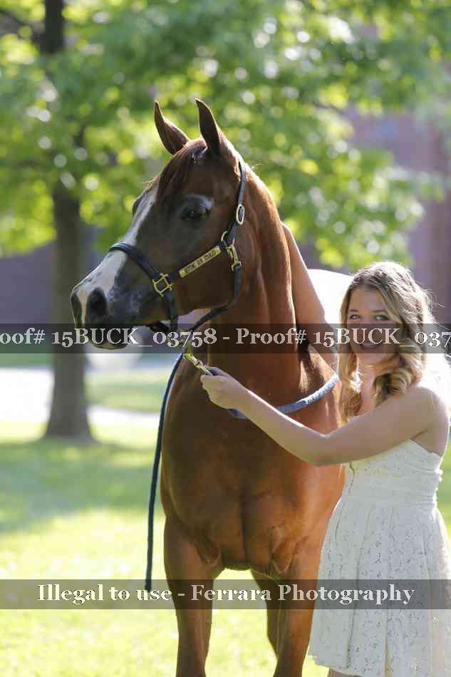 Proof 15BUCK_03758