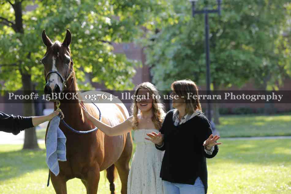Proof 15BUCK_03764