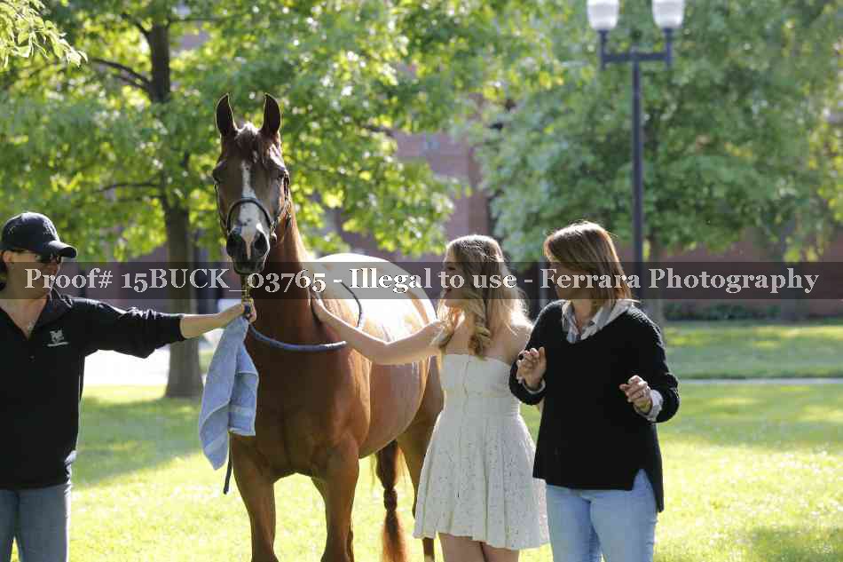 Proof 15BUCK_03765