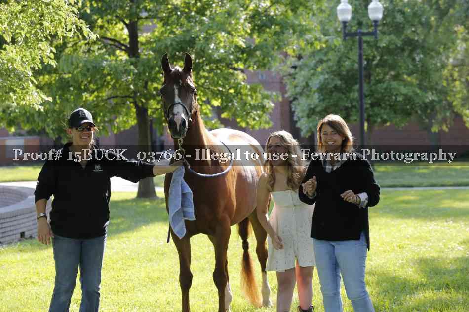 Proof 15BUCK_03766