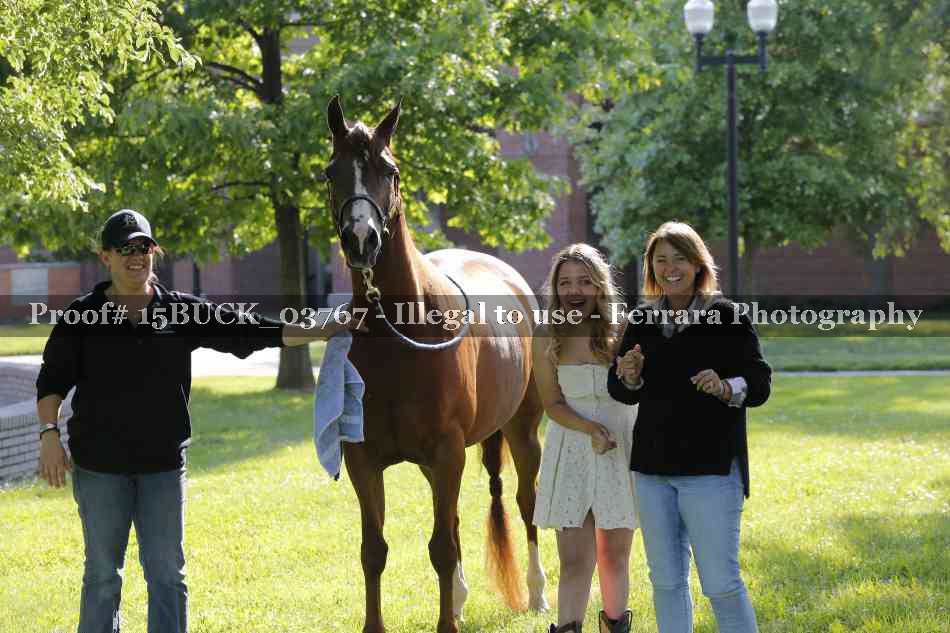 Proof 15BUCK_03767