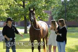15BUCK_03768 proof