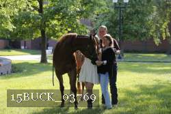 15BUCK_03769 proof