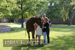 15BUCK_03770 proof