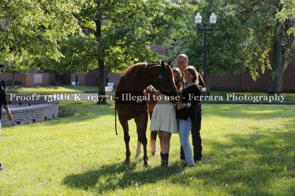 Proof 15BUCK_03771