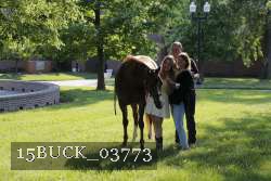 15BUCK_03773 proof