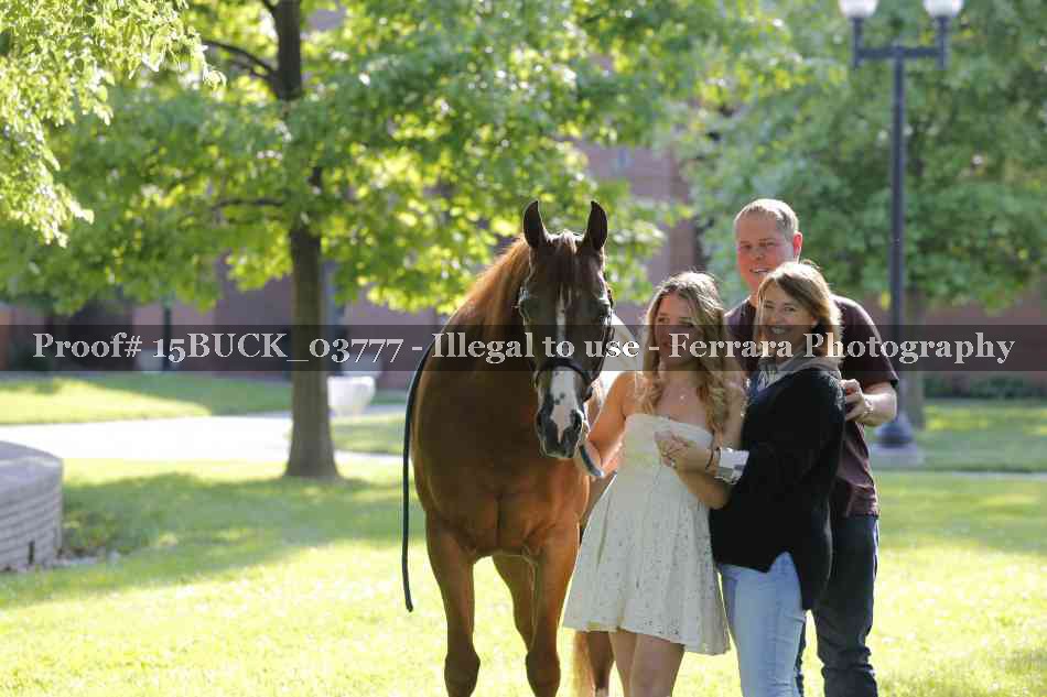 Proof 15BUCK_03777