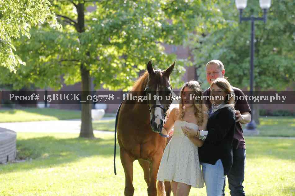Proof 15BUCK_03778