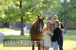 15BUCK_03778 proof