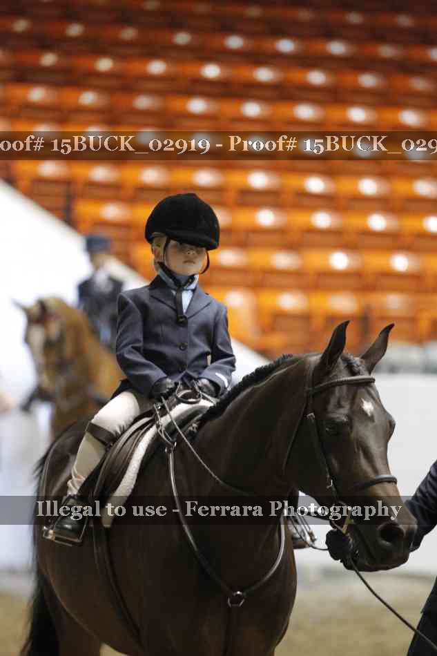 Proof 15BUCK_02919