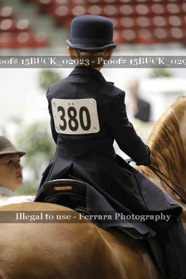 Proof 15BUCK_02923
