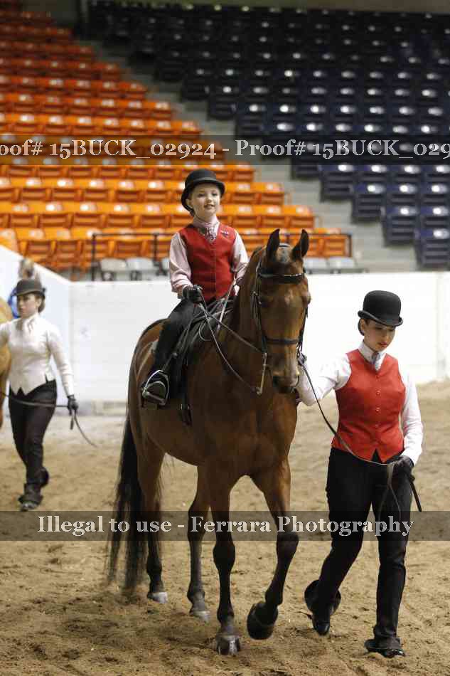 Proof 15BUCK_02924