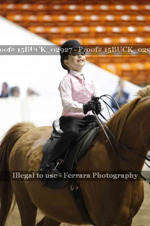 Proof 15BUCK_02927