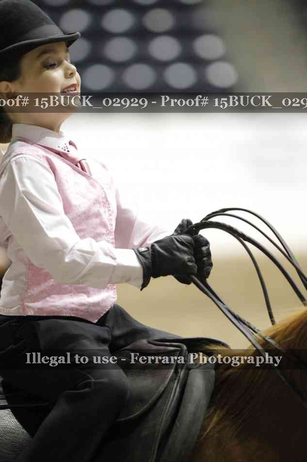 Proof 15BUCK_02929