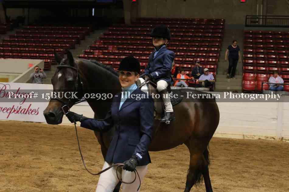 Proof 15BUCK_02930